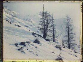 Image représentant France Les Alpes, Le Plan de l'Aiguille, Mt Blanc, Dome et Aige du Gouter, Glacier des Bossons et derniers arbres de la Montagne (mélèzes du Couloir de la Cornua)