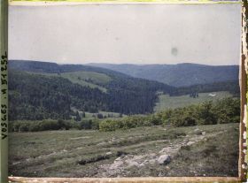Image représentant Alsace, Houhneck, Les pâturages vus des pentes Sud-Ouest du Honhneck