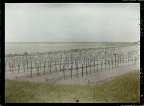 Image représentant France, Fricourt, Cimetière Allemand Vu de l'intérieur