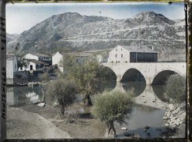 Image représentant Vieilles maisons et saules en amont du pont
