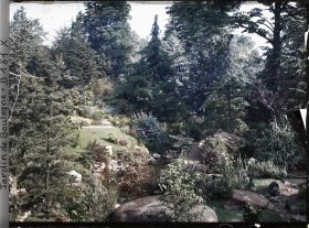 Image représentant Paysage arboré du " sanctuaire japonais " sur les rives d'un cours d'eau
