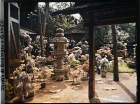 Image représentant Lanternes, bonsaïs et glycines fleuries, près de la porte d'entrée du " village japonais "