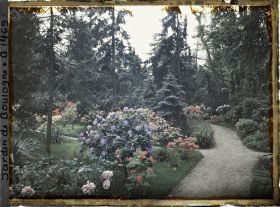 Image représentant L'allée qui longe le laboratoire, à gauche le chemin qui mène au marais