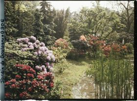 Image représentant Bordure " d'étang " fleurie de rhododendrons et d'azalées au nord-est du marais, vue vers l'est