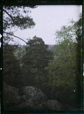 Image représentant France, Fontainebleau, Forêt de Fontainebleau
