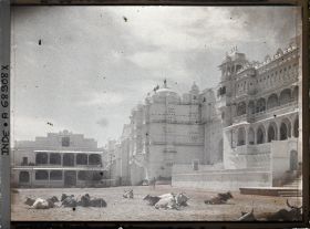 Image représentant L'esplanade (Manek Chowk) devant les palais des maharanas du Mewar, occupée par des vaches sacrées