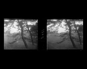 Image représentant Le jardin de la résidence de M. Matsuda