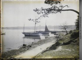 Image représentant Des bateaux amarrés et un pin parasol