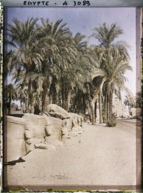 Image représentant Allée menant au site de Karnak