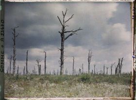Image représentant France, Pressoir, Le bois du Pressoir