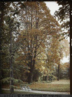 Image représentant La grande pelouse