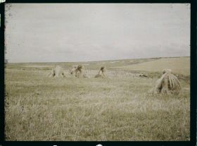 Image représentant France, Ancien champ de bataille entre Bray et Fricourt. terres remises en culture