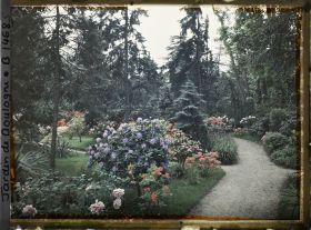 Image représentant L'allée qui longe le laboratoire, à gauche le chemin qui mène au marais