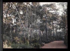 Image représentant Cap-Martin - Le Jardin