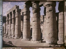 Image représentant Colonnade dans la cour de Ramsès II