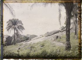 Image représentant Piège à panthère dans une palmeraie en montagne