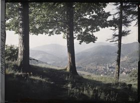 Image représentant Bitchwiller et vallée de la Thur