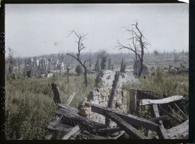 Image représentant France, Pinon, Ruines, arbres morts et le château de Pinon