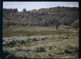 Image représentant En aval du barrage des Settons