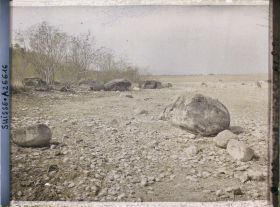 Image représentant Site palafittique préhistorique des Alpes, pieux en bois visibles lors de la baisse des eaux après la grande sécheresse de 1921 sur le lac de Neuchâtel