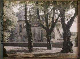 Image représentant France, Bar-le-Duc, Les tillleuls de la promenade de Paquis même sujet