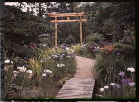Image représentant Pont et chemin bordés d'iris menant à un torii du " sanctuaire japonais "