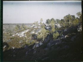 Image représentant Forêt