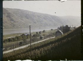 Image représentant Allemagne, Oberwesel, Vignes vers Caub