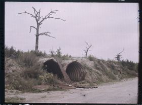Image représentant France, Verdun, Abris et arbres morts sur la route avant le Cimetière
