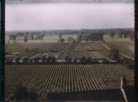 Image représentant Panorama sur les Vignobles