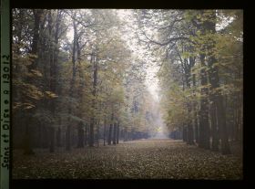 Image représentant L'allée de la Lanterne dans le parc