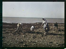 Image représentant Famille ramassant des moules sur la plage