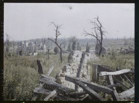 Image représentant France, Pinon, Ruines, arbres morts et le château de Pinon