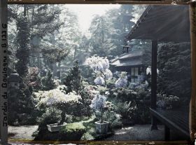 Image représentant Glycines en fleur et vue sur le cœur du " village japonais "