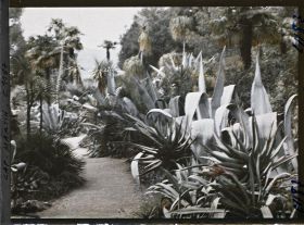 Image représentant le Jardin