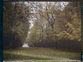 Image représentant L'allée de la Félicité dans le parc?