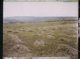 Image représentant France, Curlu, Le bois de Vaux vu des hauteurs de Curlu
