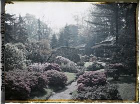 Image représentant Étroit chemin fleuri d'azalées menant à la maison ouest du " village japonais "