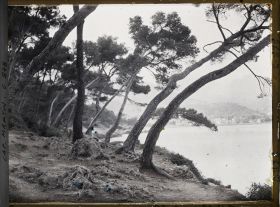 Image représentant Vue du jardin donnant sur la baie