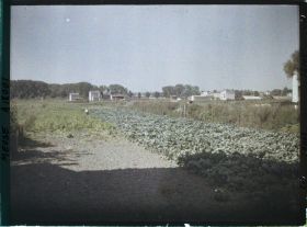 Image représentant France, Verdun, Les terres Cultivées de Verdun au faubourg Pavé