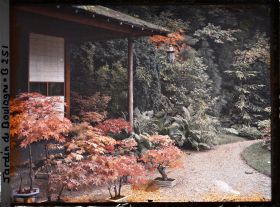 Image représentant Bonsaïs d'érables rougeoyants sur fond de verdure, devant la maison est du " village japonais "