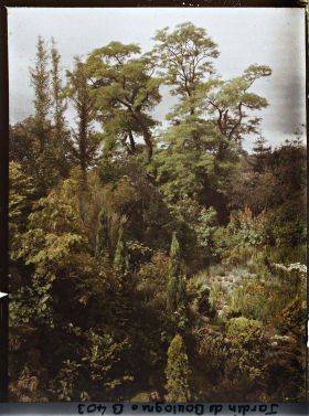 Image représentant Rocaille en pente du " jardin chinois ", ponctuée de conifères et proche du " sanctuaire japonais "