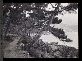 Image représentant Vue du jardin donnant sur la baie