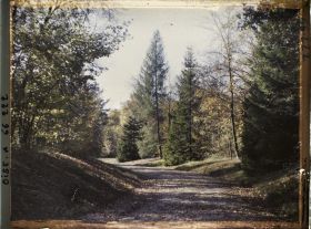 Image représentant Une allée du parc du château des Fontaines