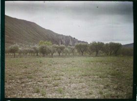 Image représentant Vue générale des Mées prise du Nord avec les oliviers au premier plan