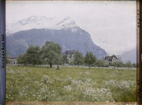 Image représentant Arbres et prairies fleuries dans la plaine d'Altdorf
