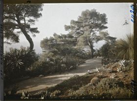 Image représentant le jardin