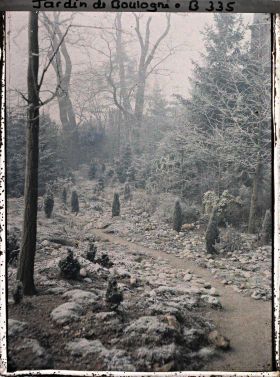 Image représentant Chemin menant vers le fond du " jardin chinois ", bordé de pierres et de conifères sous le givre