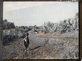 Image représentant Un des accompagnateurs de Stéphane Passet sur une route menant à Moulay Idriss