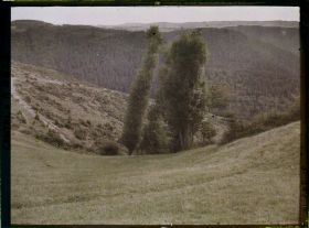 Image représentant Les flancs des gorges de la Truyère